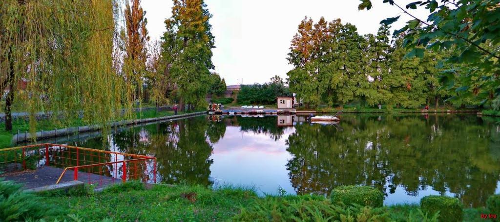 Friend'S House Apartment Pitesti Luaran gambar